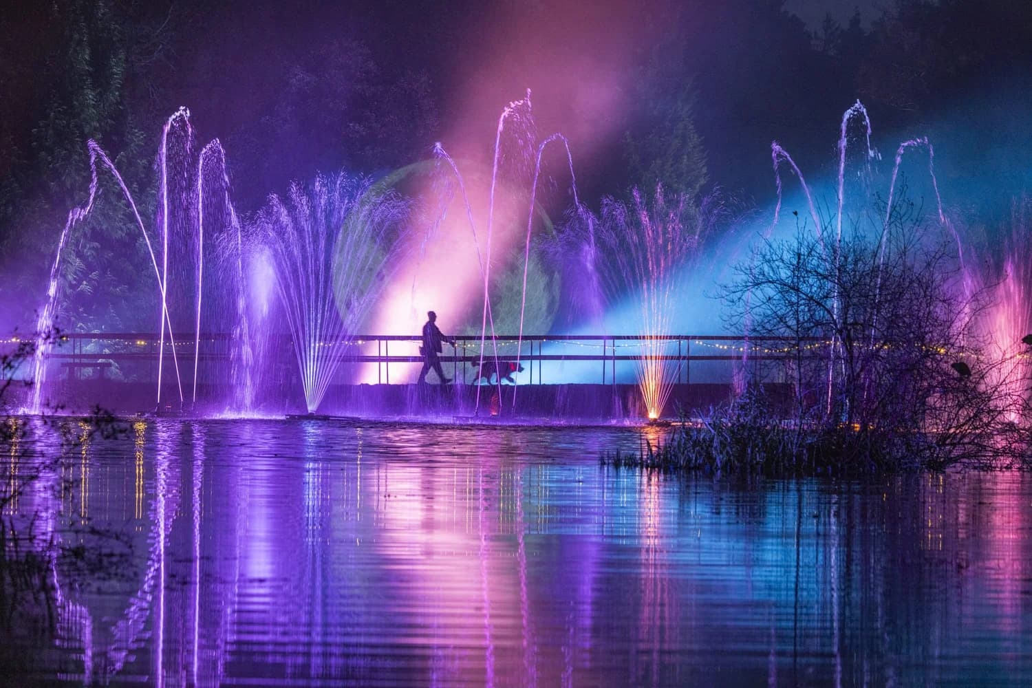 Leonardslee Lights winter light trail