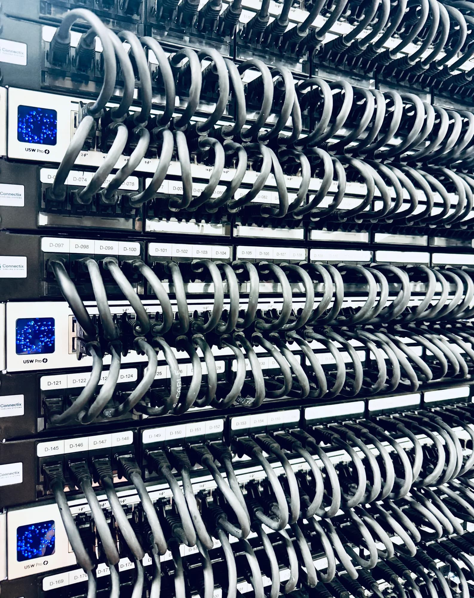Rack of UniFi USW Pro switches with labelled, looped patch leads