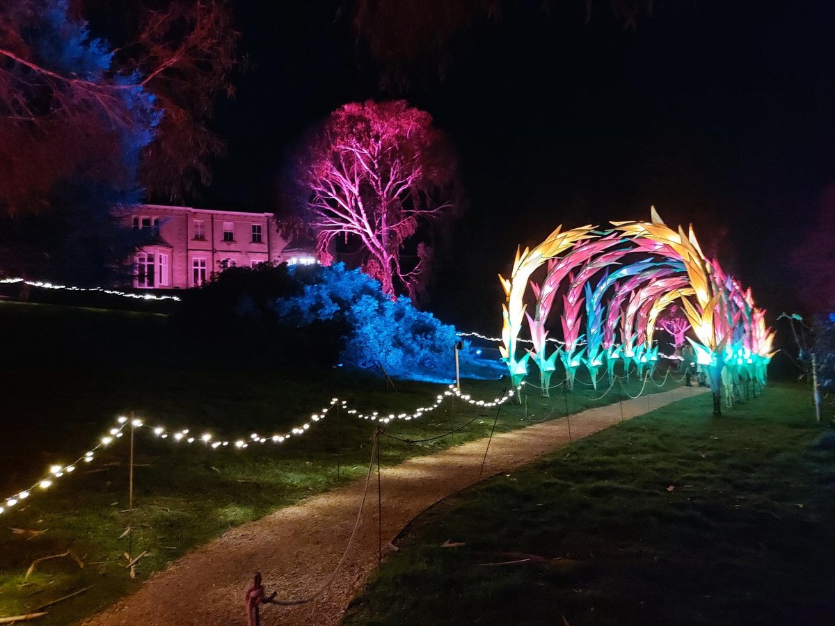 The illuminated archway walk and festoon-lit trail through Leonardslee Gardens, the house uplit beyond